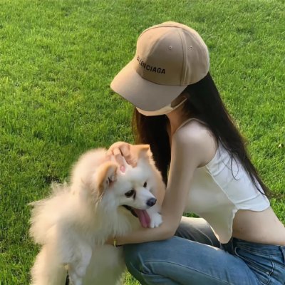 哈莱姆的郁金香