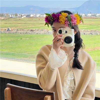 菊与断头台